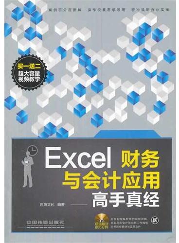 Excel财务与会计应用高手真经（含盘）