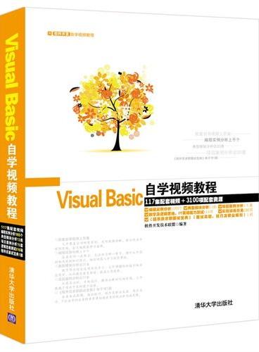 Visual Basic自学视频教程（配光盘）（软件开发自学视频教程）