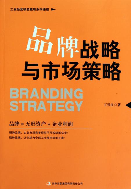 品牌战略与市场策略 丁兴良 精品图书（工业品营销总裁班系列课程）