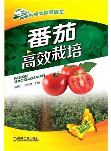 番茄高效栽培（高效种植致富直通车）