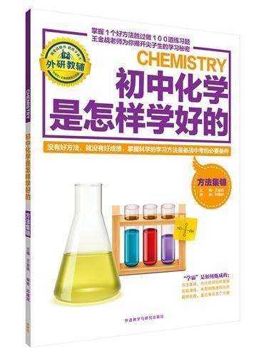 王金战系列图书：初中化学是怎样学好的-方法集锦