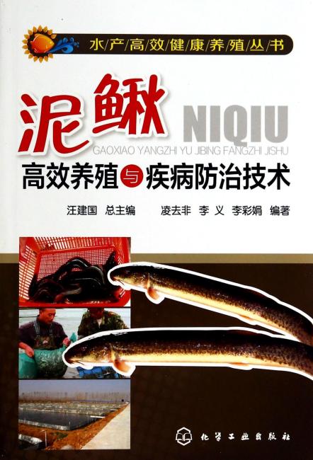 泥鳅高效养殖与疾病防治技术