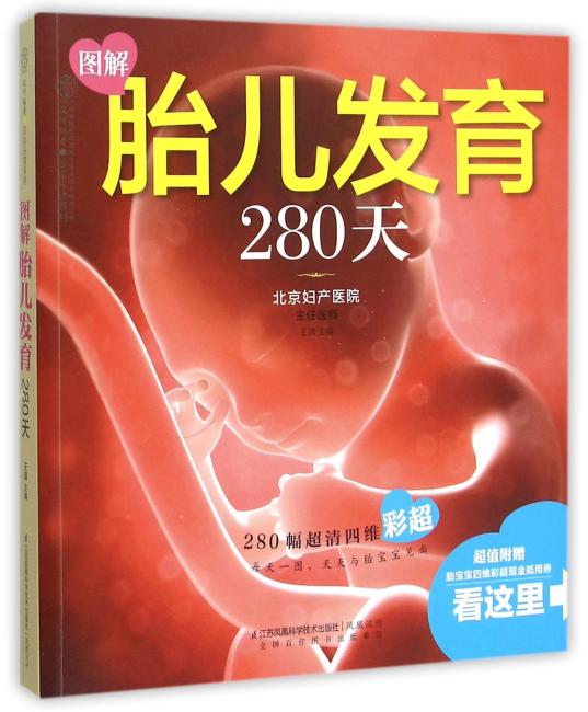 图解胎儿发育280天（汉竹）