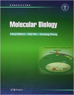 Molecular Biology（分子生物学）