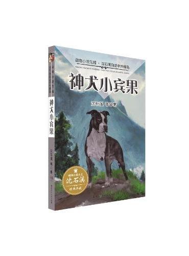 动物小说王国·沈石溪自选中外精品·神犬小宾果