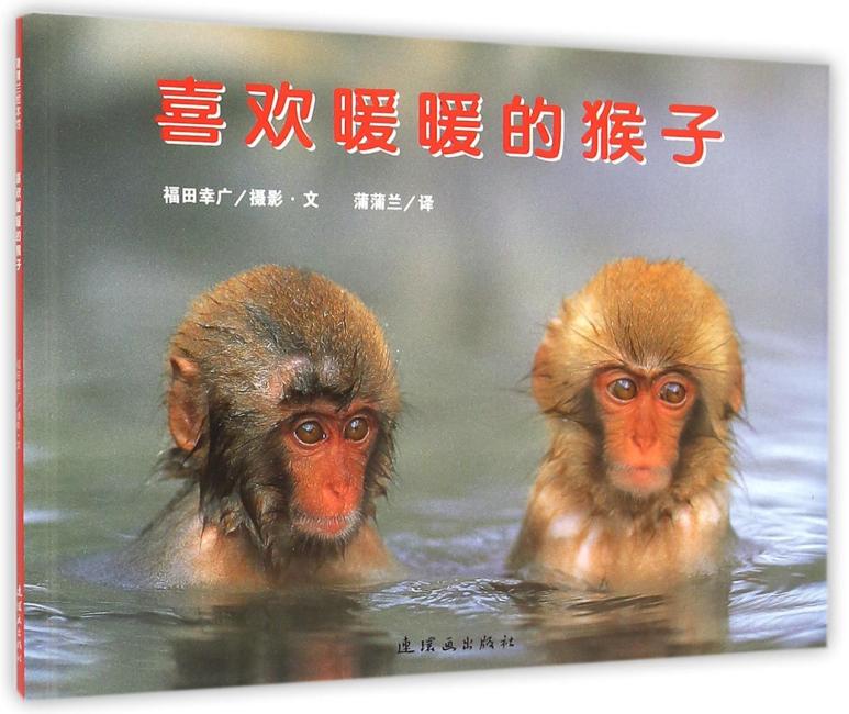 喜欢暖暖的猴子