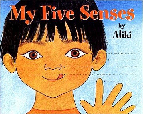 My Five Senses Big Book