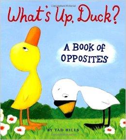 What's Up, Duck?： A Book of Opposites