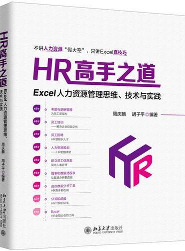 HR高手之道：Excel人力资源管理思维、技术与实践