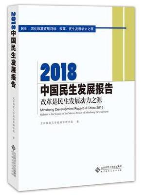 2018中国民生发展报告