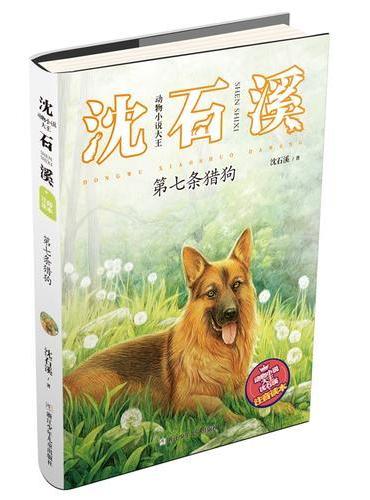 动物小说大王沈石溪·注音读本：第七条猎狗