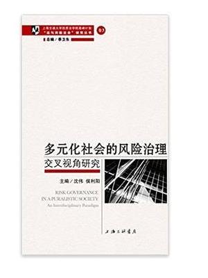 多元化社会的风险治理：交叉视角研究