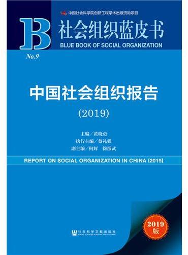 社会组织蓝皮书：中国社会组织报告（2019）