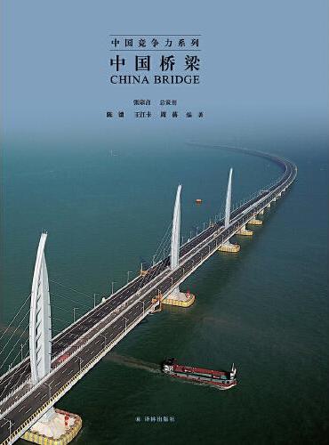 中国桥梁（中国竞争力系列）
