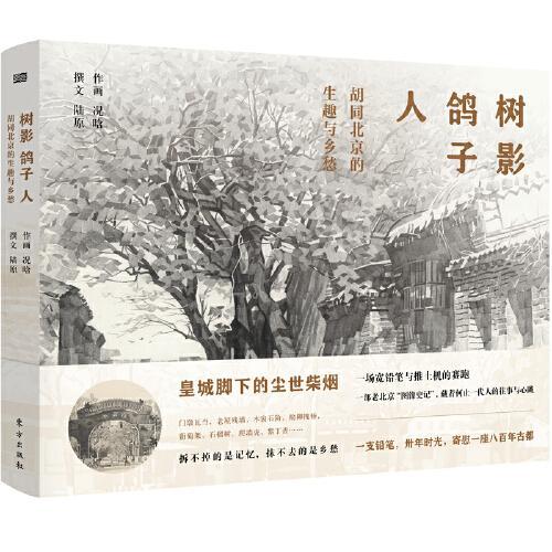 树影 鸽子 人：胡同北京的生趣与乡愁