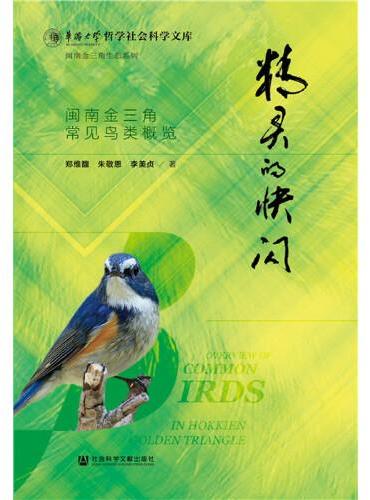 精灵的快闪：闽南金三角常见鸟类概览