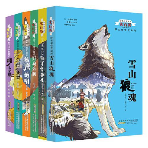 动物小说大王沈石溪：野生动物救助站（套装1-6）