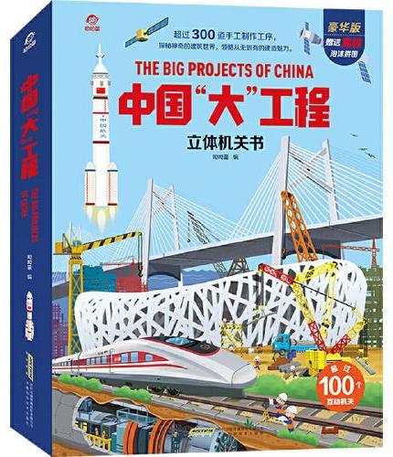 中国“大”工程