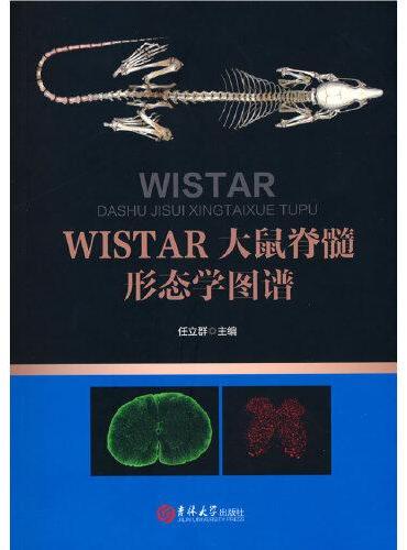 WISTAR大鼠的脊髓形态学图谱