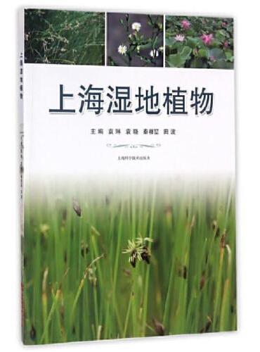 上海湿地植物