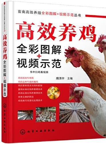 畜禽高效养殖全彩图解+视频示范丛书--高效养鸡全彩图解+视频示范
