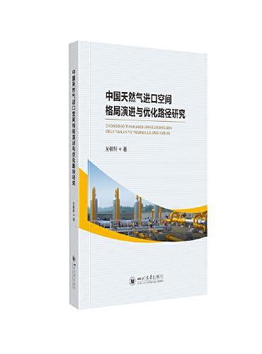 中国天然气进口空间格局演进及优化路径研究
