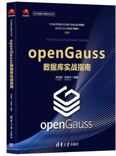 openGauss数据库实战指南