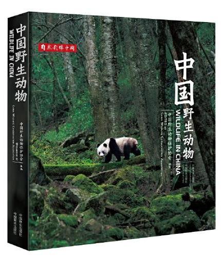 中国野生动物