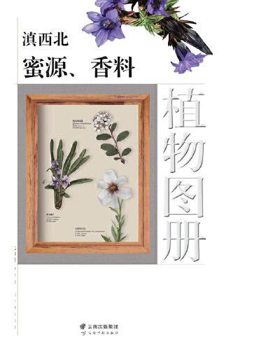 滇西北蜜源、香料植物图册