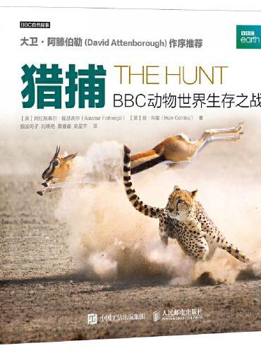 猎捕 BBC动物世界生存之战