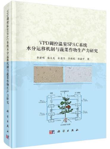 VPD调控温室SPAC系统水分运移机制与蔬菜生产力研究