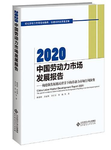 2020中国劳动力市场发展报告：构建新发展格局背景下的劳动力市场空间演变