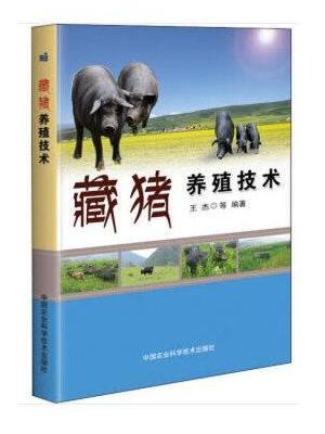 藏猪养殖技术