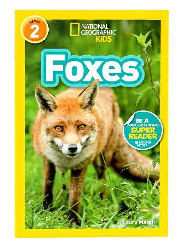 英文原版National Geographic Kids Readers：Foxes狐狸 国家地理分级阅读Level 2