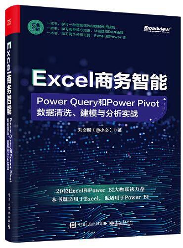 Excel商务智能：Power Query和Power Pivot数据清洗、建模与分析实战