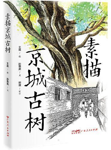 素描京城古树