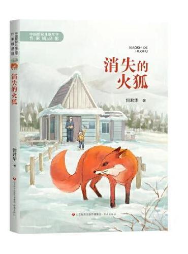 中国新锐儿童文学作家精品馆：消失的火狐