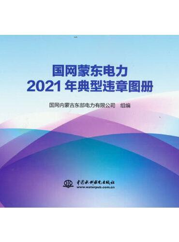 国网蒙东电力2021年典型违章图册
