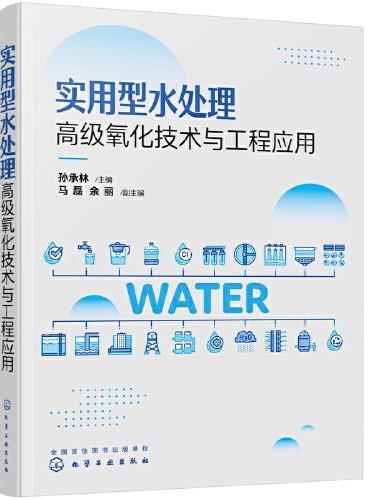 实用型水处理高级氧化技术与工程应用