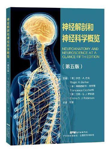 神经解剖和神经科学概览