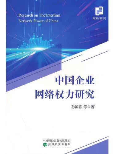 中国企业网络权力研究