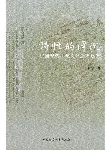 诗性的浮沉：中国现代小说文体互渗现象
