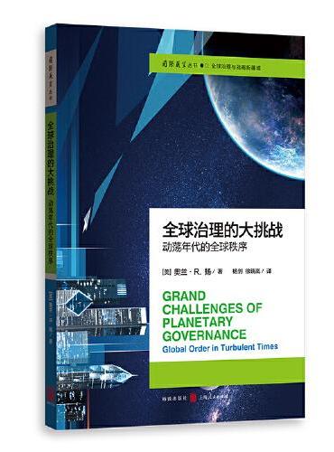 全球治理的大挑战--动荡年代的全球秩序（国际展望丛书·全球治理与战略新疆域）