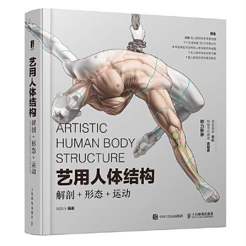 艺用人体结构 解剖形态运动