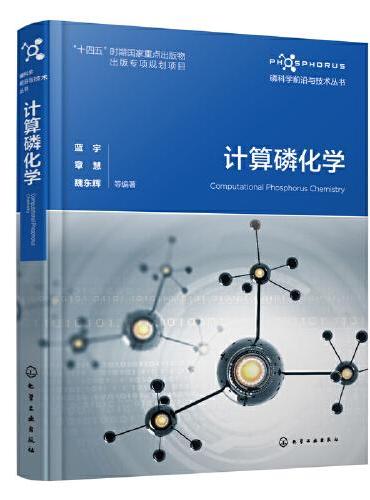 磷科学前沿与技术丛书--计算磷化学