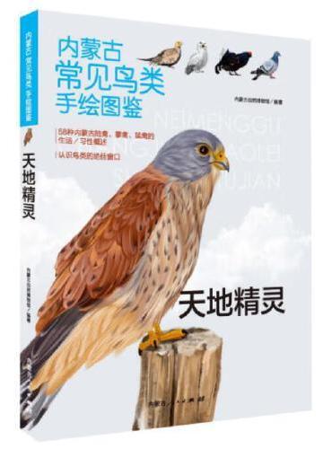 《内蒙古常见鸟类手绘图鉴-天地精灵》
