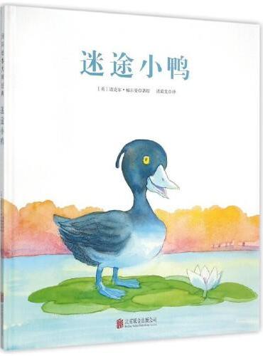 福尔曼经典绘本：迷途小鸭