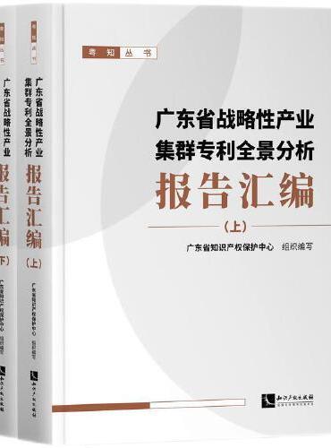 广东省战略性产业集群专利全景分析报告汇编（上、下）