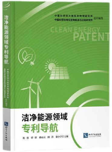 洁净能源领域专利导航