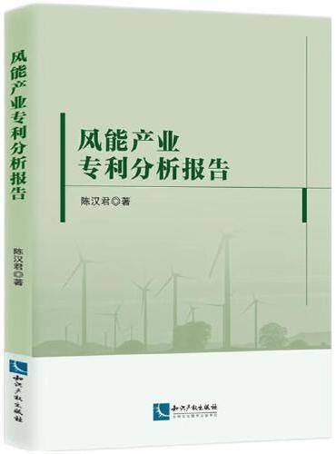 风能产业专利分析报告